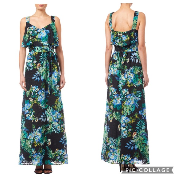 NWT Adrianna Papell Printed Burn Out Maxi Dress - Picture 1 of 8